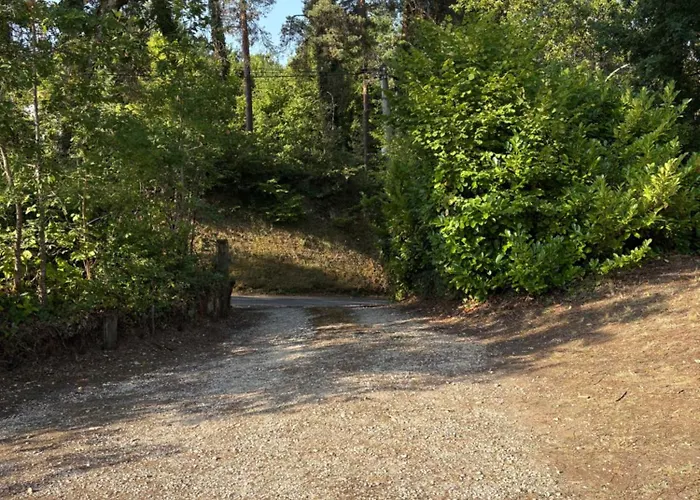 Maison De Charme Campagne Proche Perigueux